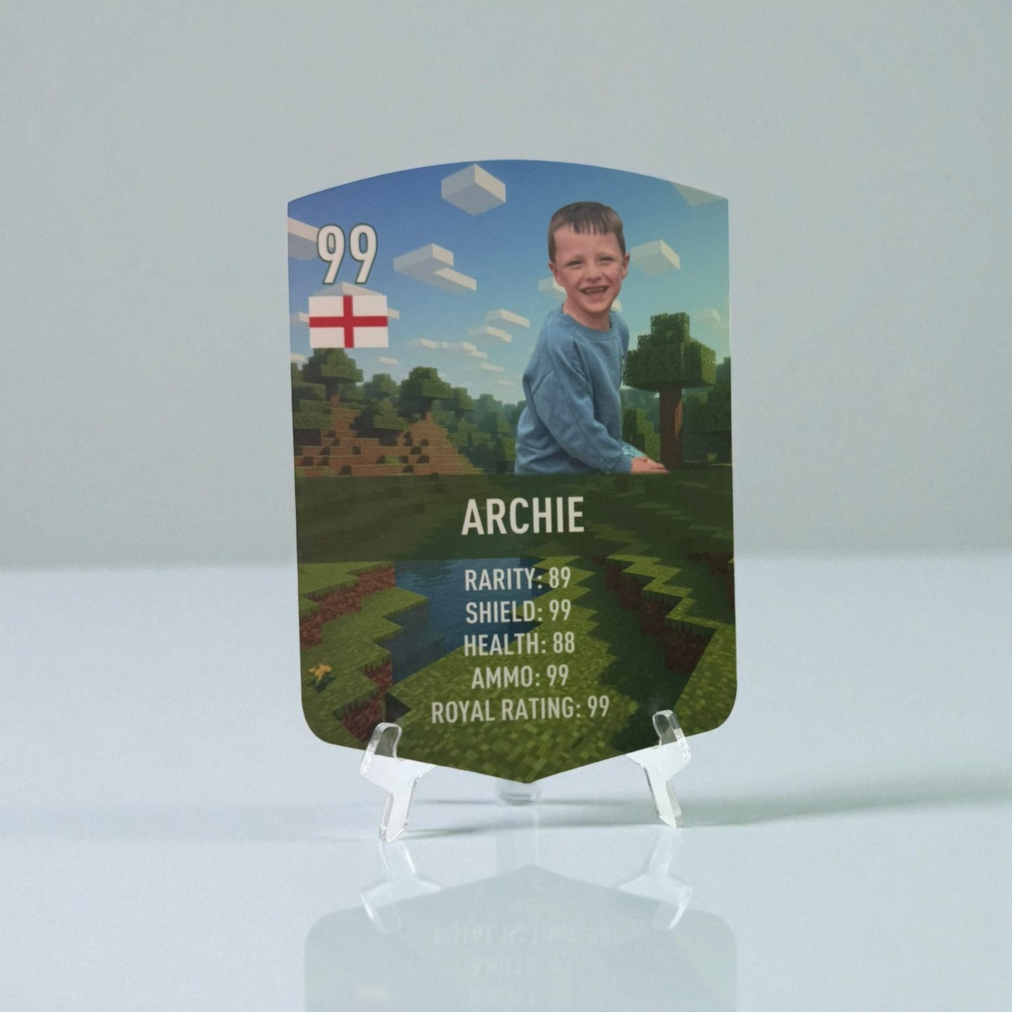 Premium Acrylic Stand